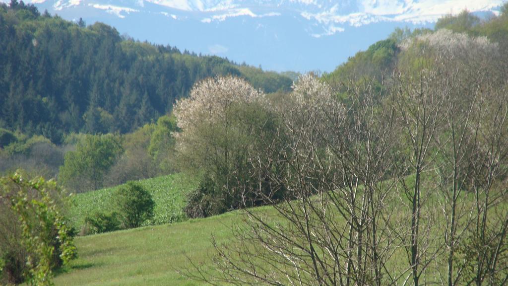 Gite Du Paradis Vieuzos Eksteriør bilde